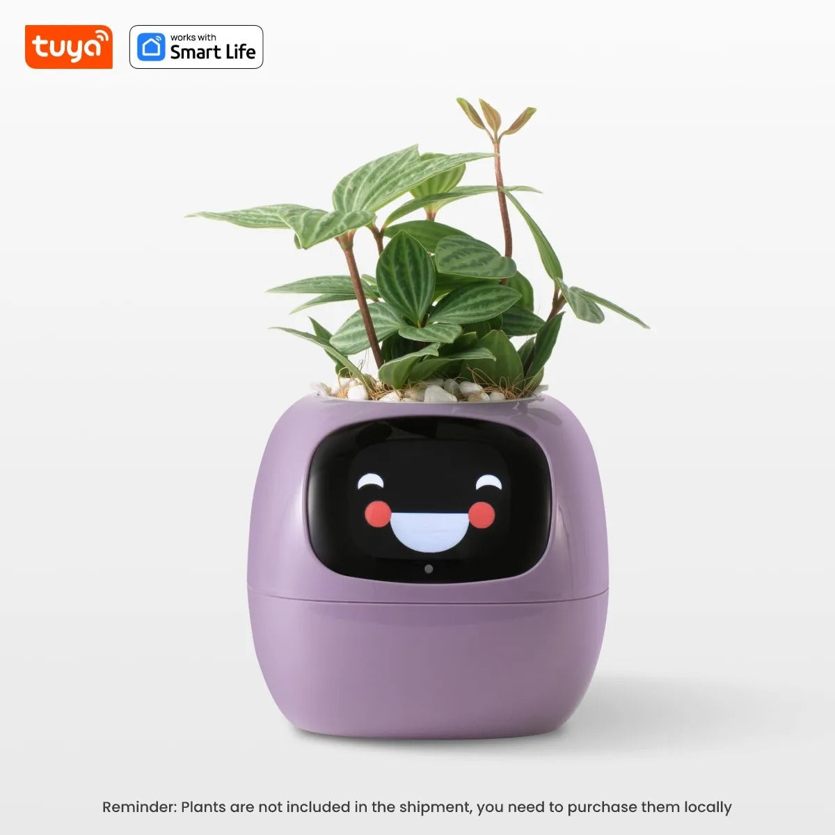 GrowJoy – AI Smart Planter with 49 Emotions
