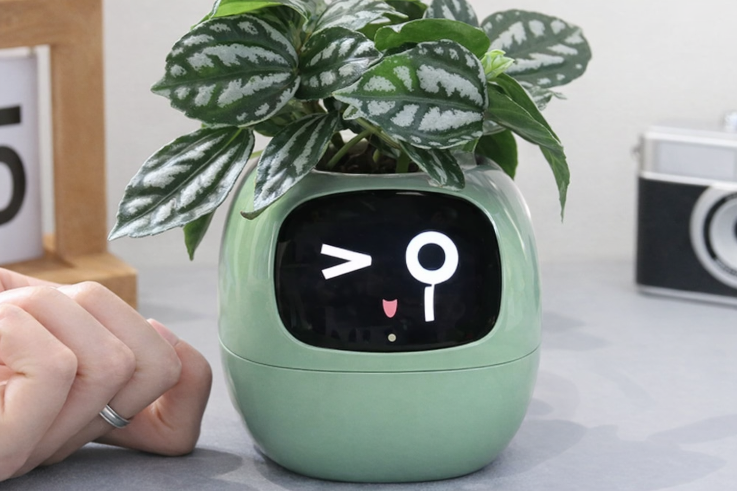 GrowJoy™ AI Smart Planter — Your Plant Has Feelings
