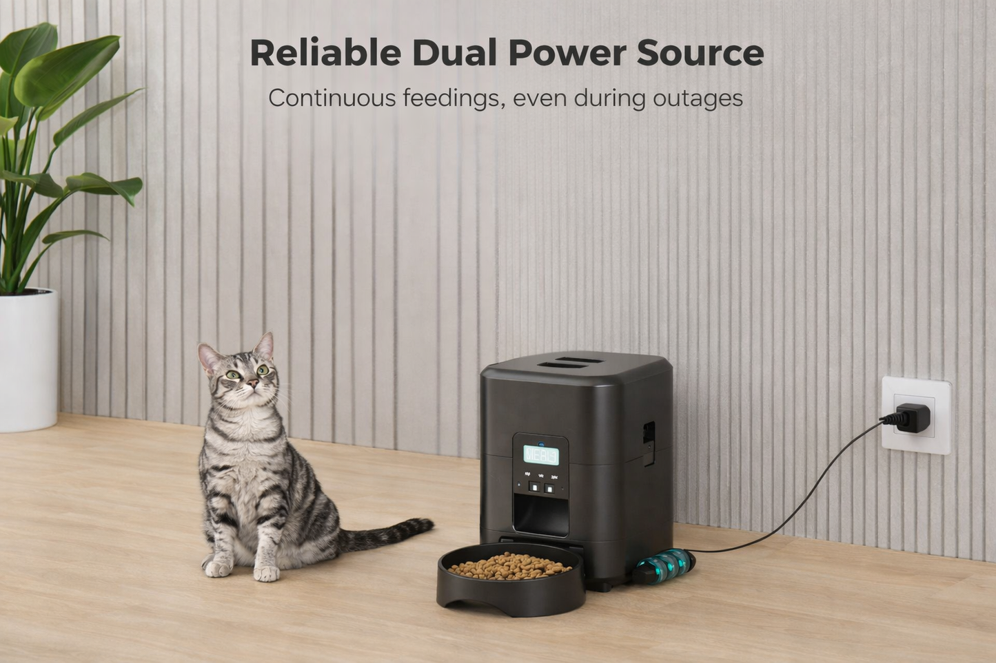 Smart pet feeder with dual power supply for reliable daily feeding
