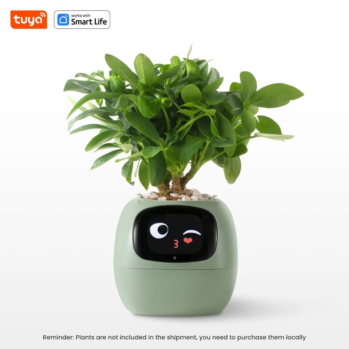 GrowJoy – AI Smart Planter with 49 Emotions